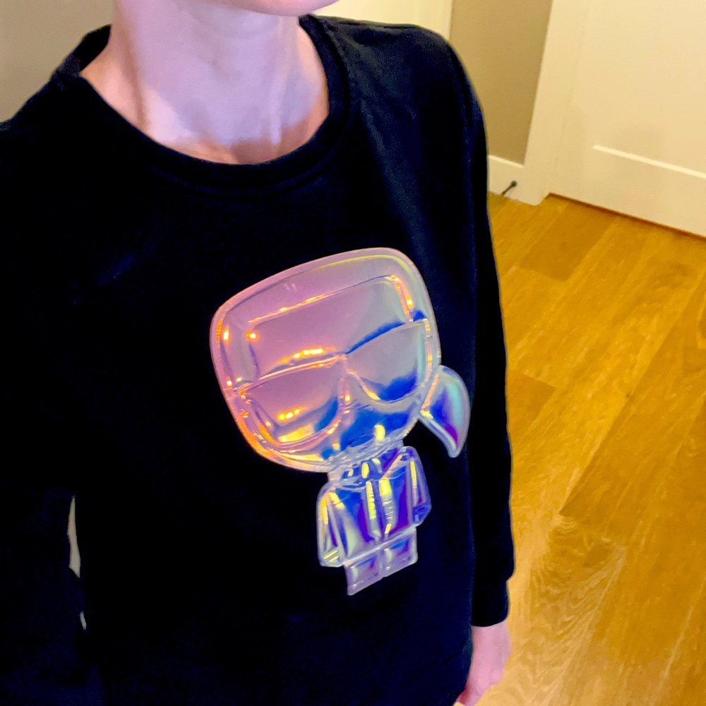 Karl Lagerfeld sweatshirt (originally $300)